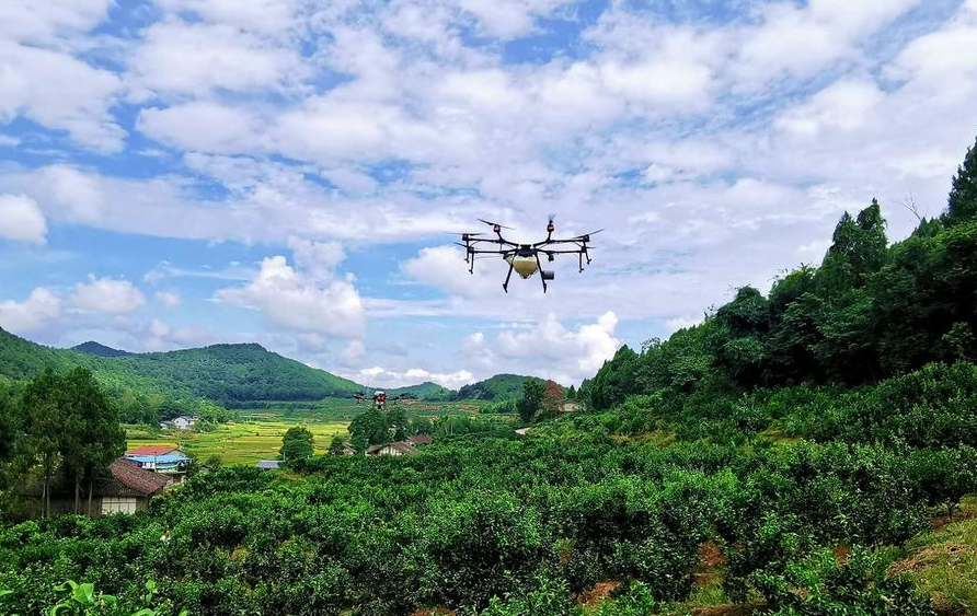 改裝無人機解決果樹農藥低效問題 四川果農轉型成“飛手”(圖1) 改裝無人機解決果樹農藥低效問題 四川果農轉型成“飛手”(圖1)