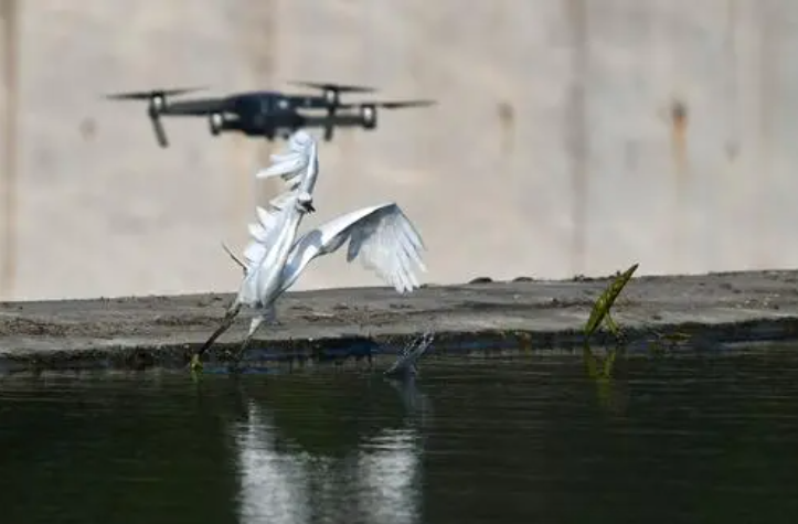 重點(diǎn)關(guān)注 2022年即將實(shí)施的無(wú)人機(jī)新規(guī)(圖5) 重點(diǎn)關(guān)注 2022年即將實(shí)施的無(wú)人機(jī)新規(guī)(圖5)