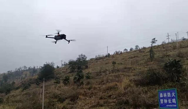無人機技術(shù)助力保護區(qū)科學護林巡山 (圖2)