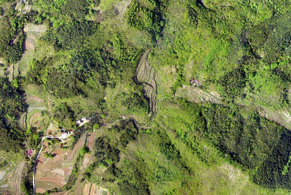 無人機技術在現代林業(yè)工作方面的應用(圖2) 無人機技術在現代林業(yè)工作方面的應用(圖2)