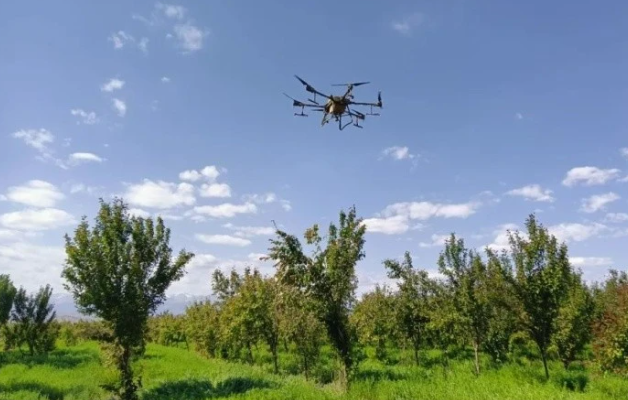 無人機助力山區(qū)產業(yè)增效、果農增收(圖1)