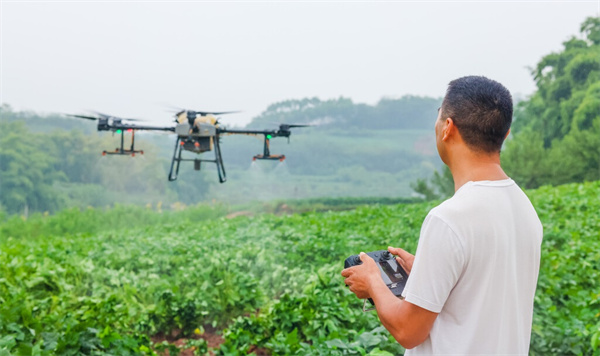 自貢市貢井區(qū):植保無人機助力病蟲害防治(圖1) 自貢市貢井區(qū):植保無人機助力病蟲害防治(圖1)