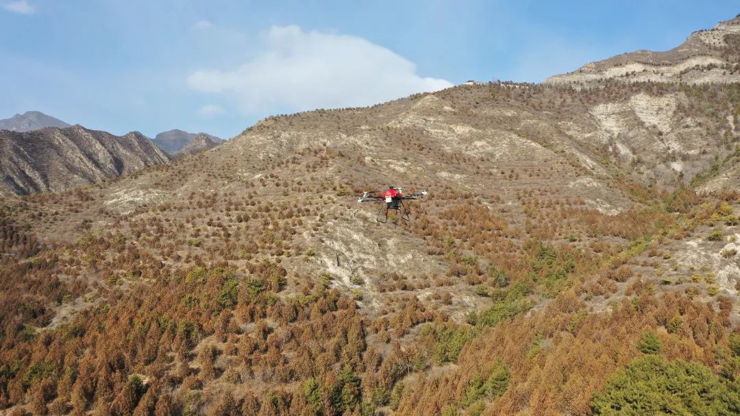 北京延慶首個無人機智能應(yīng)用場景投產(chǎn) 為森林防火再添“空中力量”(圖1)